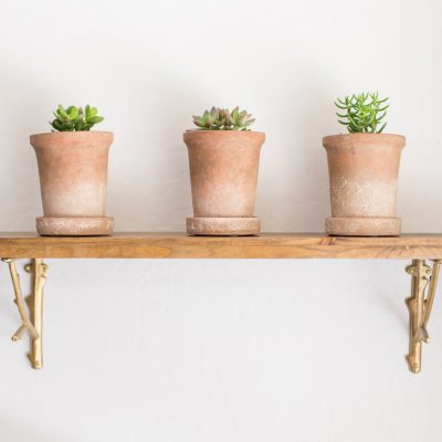 Three Easy Care Houseplants