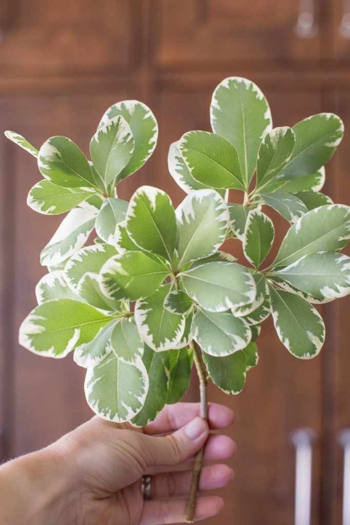 How to Make a Flower Arrangement for $5 - Made To Be Lovely