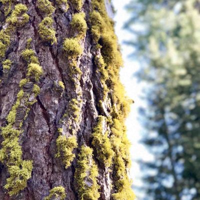 Eight Things I’m Glad We Brought Camping